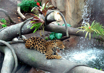 2004_Jaguar Exhibit.jpg